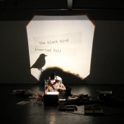 black_bird_performance_bseite_festival_05