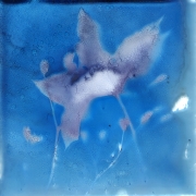 blueglass02